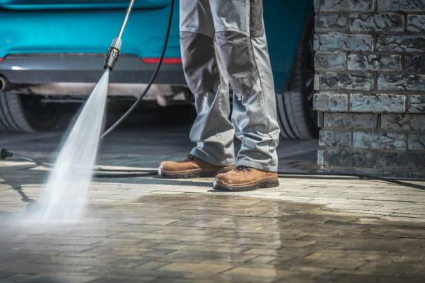 Animal Enclosure Cleaning in Spencer, WI
